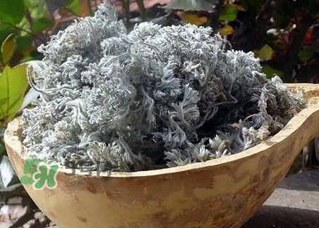 白蒿的營(yíng)養(yǎng)價(jià)值_白蒿的功效與作用及食用方法