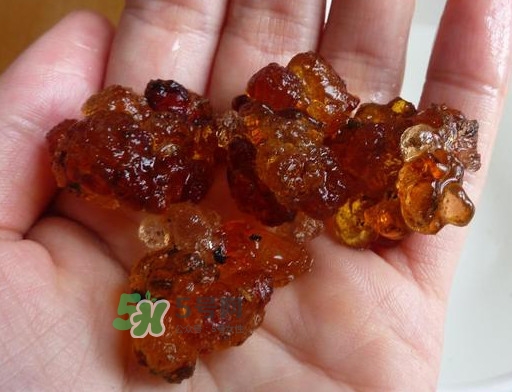 桃膠哪里有賣的？哪里產(chǎn)的桃膠最好