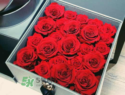 roseonly怎么買？roseonly如何買第二次？