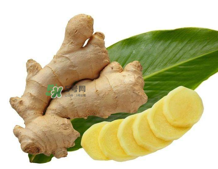 胃病患者可以長期食用生姜嗎？胃不好能不能吃姜？