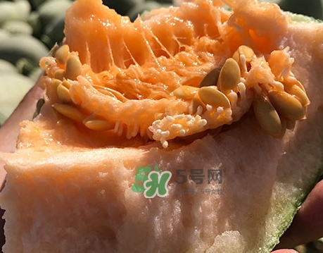 哈密瓜的營(yíng)養(yǎng)價(jià)值_哈密瓜的功效與作用及食用禁忌
