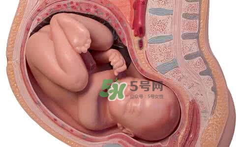 寶寶臍帶繞頸只能剖腹產(chǎn)嗎？胎兒臍帶繞頸孕婦有什么感覺(jué)