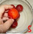 芙蓉李甜嗎？芙蓉李好吃嗎？