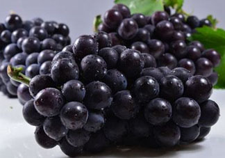 戶太八號什么時候成熟？戶太八號幾月份成熟？