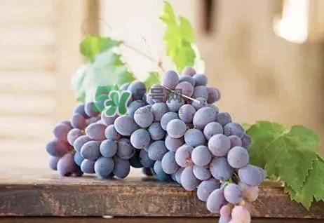 葡萄皮的營養(yǎng)價值_葡萄皮的功效與作用及飲食禁忌 葡萄皮的營養(yǎng)價值_葡萄皮的功效與作用及飲食禁忌