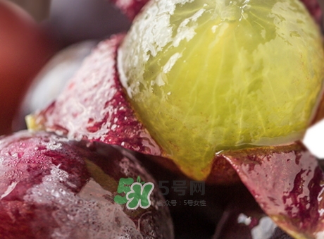 葡萄皮的營養(yǎng)價值_葡萄皮的功效與作用及飲食禁忌 葡萄皮的營養(yǎng)價值_葡萄皮的功效與作用及飲食禁忌