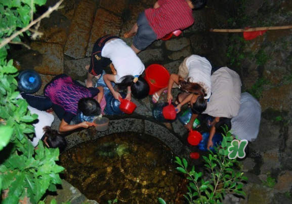 七夕水為什么不會壞？七夕水科學(xué)解釋