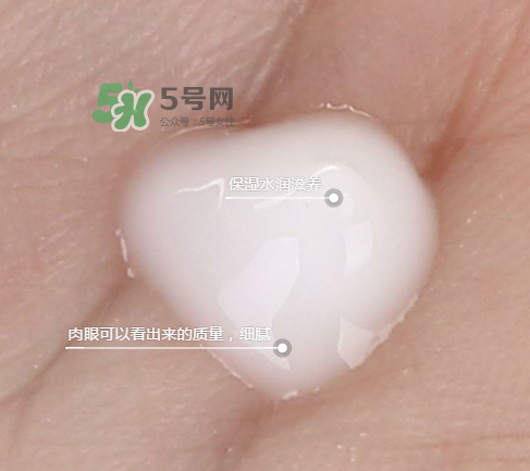 蘭芝新水酷特潤(rùn)乳霜多少錢？蘭芝新水酷特潤(rùn)乳霜價(jià)格