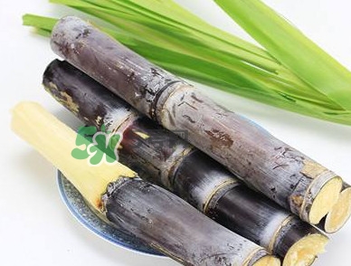 甘蔗什么時候成熟？甘蔗什么時候上市