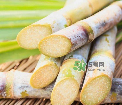 甘蔗是酸性還是堿性？甘蔗是水果嗎