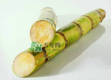 甘蔗是哪里的特產(chǎn)？甘蔗是什么地方的特產(chǎn)