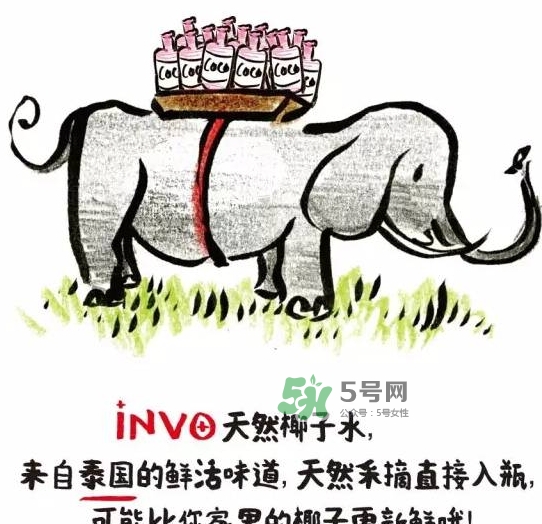 invo椰子水多少錢？invo椰子水好喝嗎？