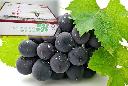 戶太八號什么時(shí)候成熟？戶太八號幾月份成熟？