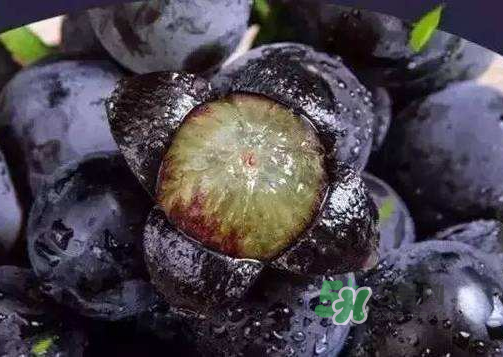 戶太八號多少錢一斤？戶太八號為什么在全國很有名？