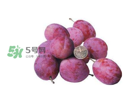 西梅什么時候上市？新疆西梅什么時候上市