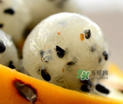 黃龍果的熱量 黃龍果可以減肥嗎？