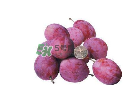 新鮮西梅好吃嗎？新鮮西梅什么味道