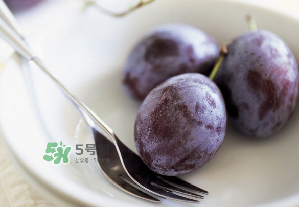 西梅怎么挑選？新鮮西梅怎么保存