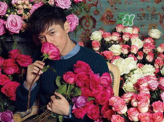 野獸派和roseonly哪個(gè)好？野獸派和roseonly區(qū)別