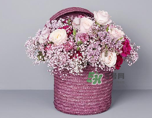 野獸派和roseonly哪個(gè)好？野獸派和roseonly區(qū)別