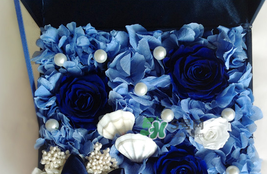 野獸派永生花會死嗎？野獸派永生花是什么？