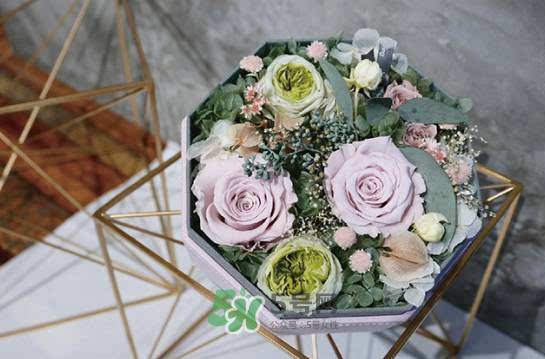 野獸派永生花會死嗎？野獸派永生花是什么？