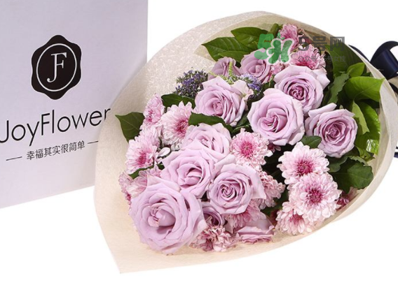 joyflower是哪國品牌？joyflower怎么樣？