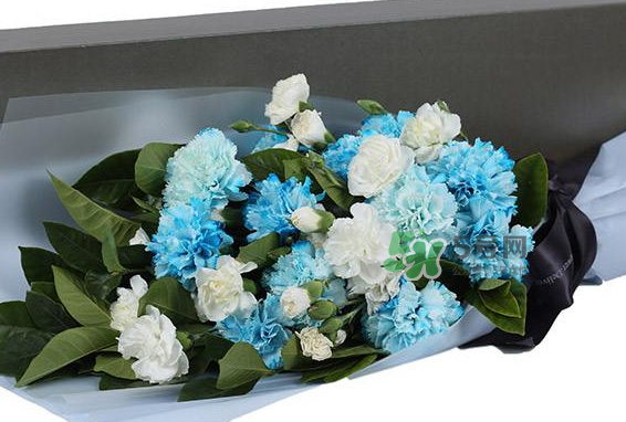 joyflower是哪國品牌？joyflower怎么樣？