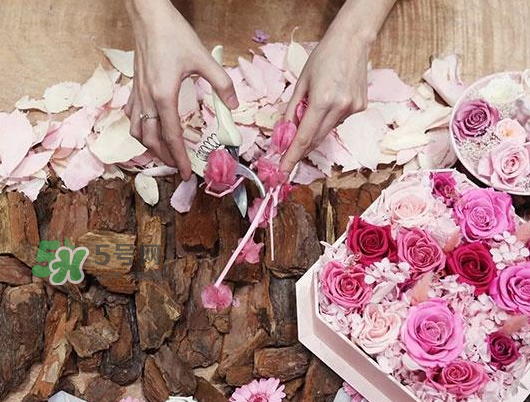 the beast是什么品牌？the beast是什么牌子？