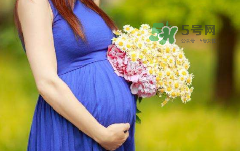 孕婦可以拔牙嗎？孕婦可以拔智齒嗎？