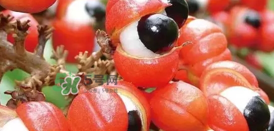 黑卡飲料多少錢一瓶？黑卡6小時價格表