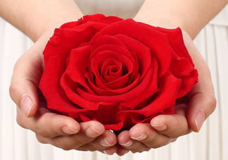 送永生花代表什么？一個(gè)男孩送自己永生花是什么意思？