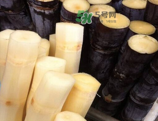 甘蔗是哪里的特產(chǎn)？甘蔗是什么地方的特產(chǎn)