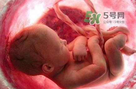 胎兒什么時(shí)候入盆？胎兒入盆后胎動(dòng)會(huì)減少嗎？