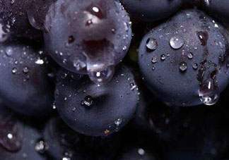 戶太八號和巨峰哪個好？戶太八號和巨峰的區(qū)別