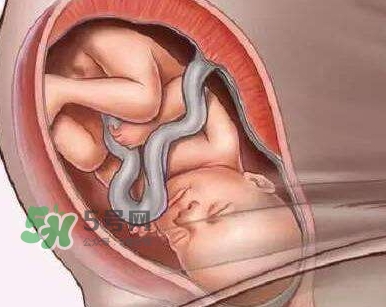 胎兒什么時(shí)候入盆？胎兒入盆后胎動(dòng)會(huì)減少嗎？