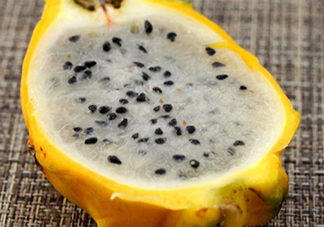 麒麟果會(huì)拉肚子嗎？麒麟果拉肚子怎么辦？