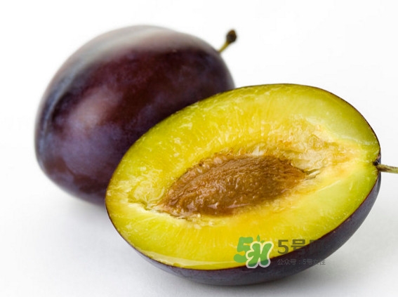 西梅怎么挑選？新鮮西梅怎么保存