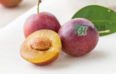 西梅是李子嗎？西梅是什么季節(jié)的水果