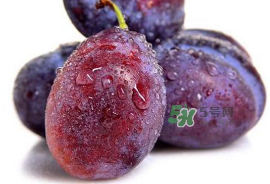 西梅可以泡酒嗎？西梅可以空腹吃嗎？