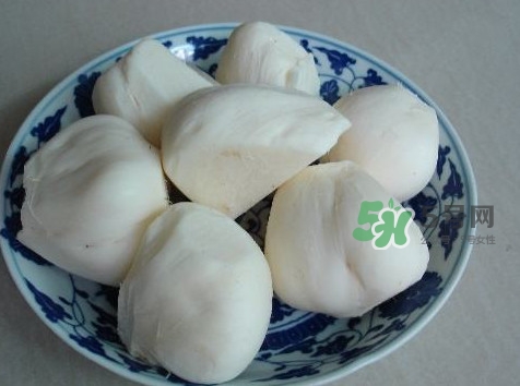 涼薯是什么東西？涼薯是地瓜嗎？