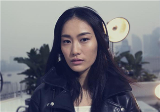 維多利亞的秘密2017有秦舒培嗎？秦舒培入選了嗎？