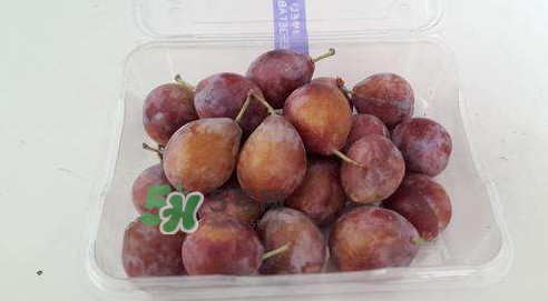 西梅什么時候上市？新疆西梅什么時候上市