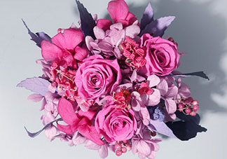 joyflower是哪國品牌？joyflower怎么樣？