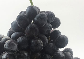 黑葡萄的營養(yǎng)價(jià)值_黑葡萄的功效與作用及飲食禁忌