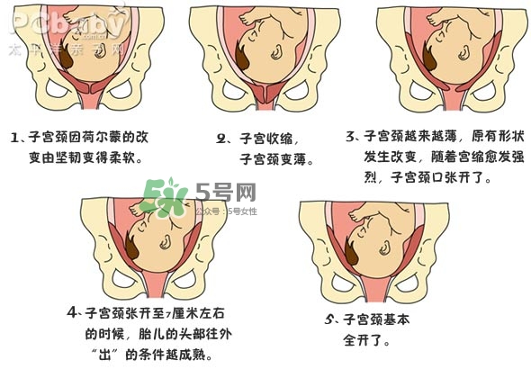 生孩子的過程是怎樣的？生孩子的真實過程