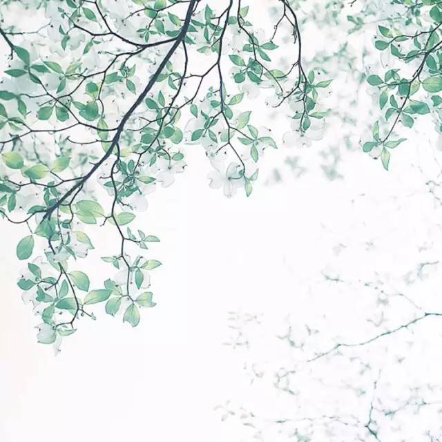 這世上，只有一種男人不會出軌