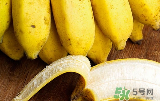 帝王蕉的熱量 吃帝王蕉會長胖嗎 帝王蕉的熱量 吃帝王蕉會長胖嗎