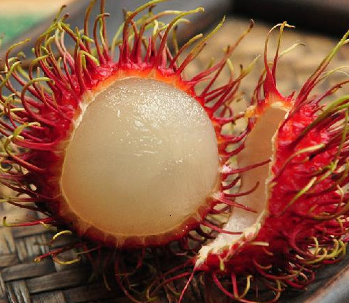 紅毛丹是哪里的特產(chǎn)？紅毛丹是什么季節(jié)的水果