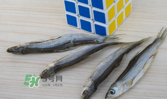 刁子魚是發(fā)物嗎？刁子魚是不是發(fā)物